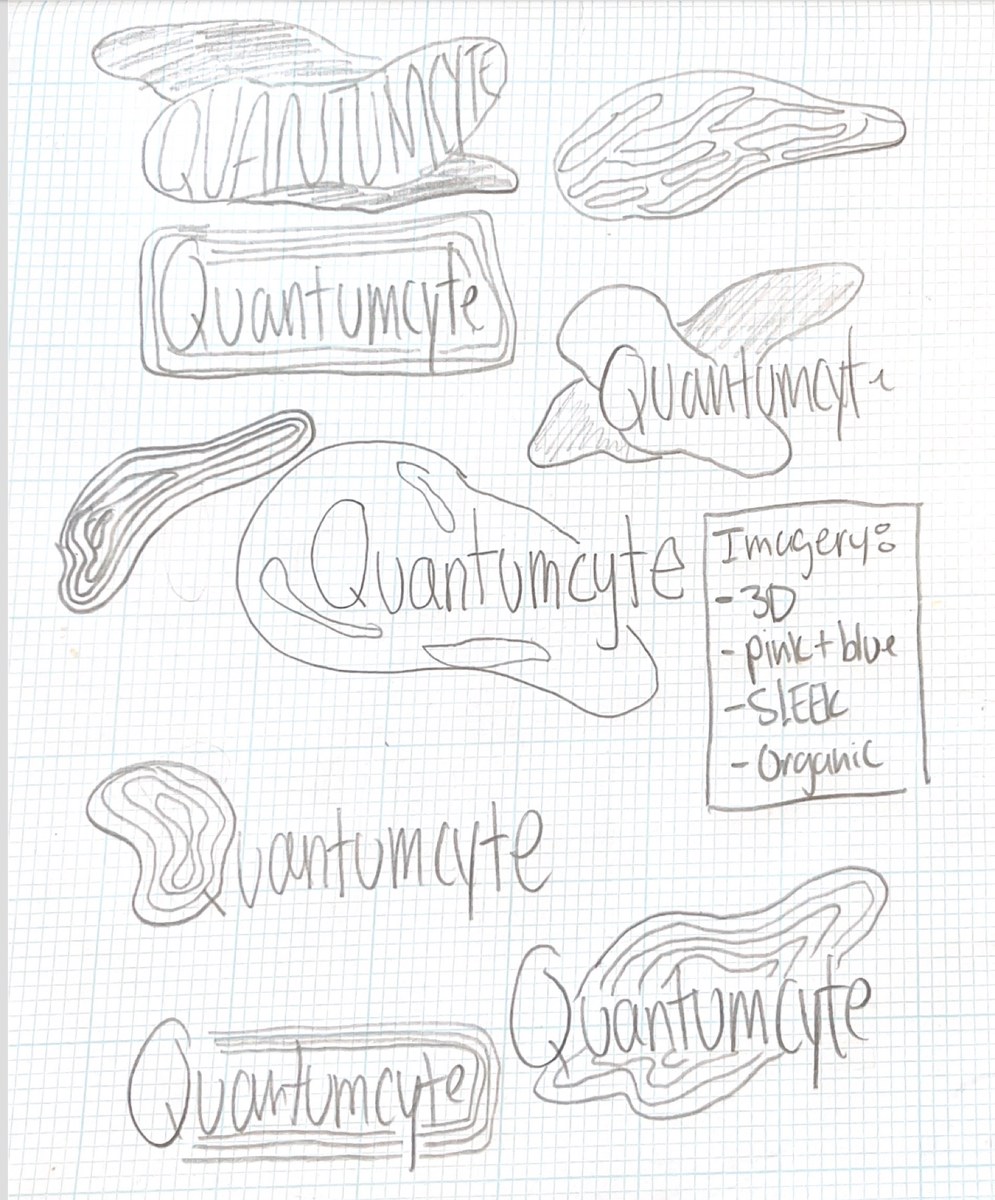 A page of pencil logo sketches for QuantumCyte on graph paper, with notes on imagery: 3D, pink and blue, sleek, organic.