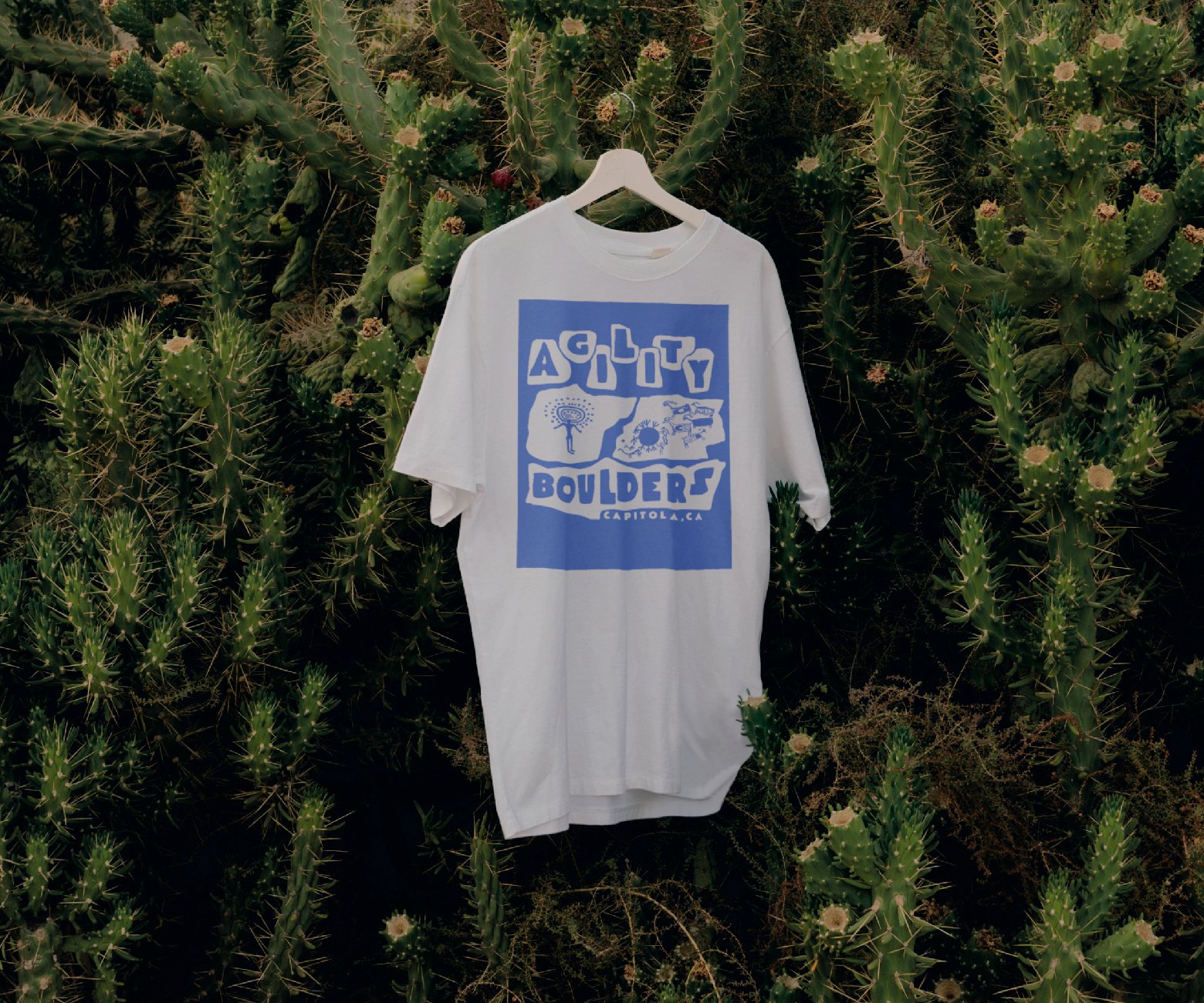 The same petroglyph graphic on a white t-shirt, hanging in the same foliage.