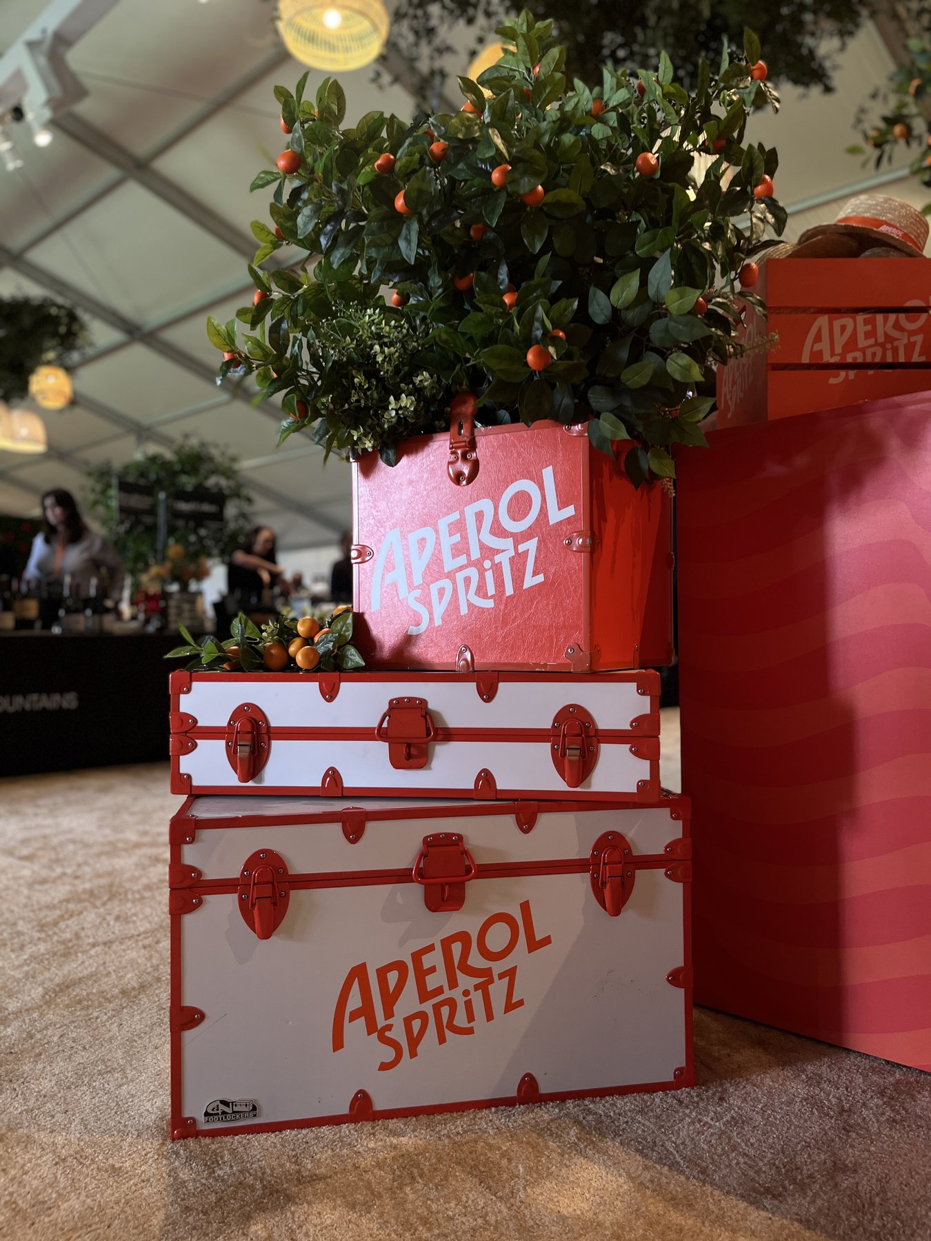 A stack of Aperol Spritz trunks in red and white, topped with a potted kumquat tree, beside the coral wave-striped bar.
