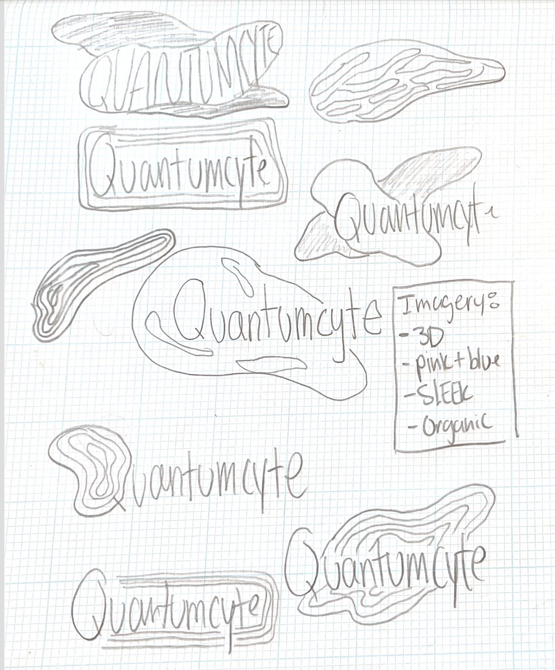 A page of pencil sketches on graph paper: the QuantumCyte wordmark drawn many ways beside organic blob shapes, with notes reading imagery: 3D, pink and blue, sleek, organic.
