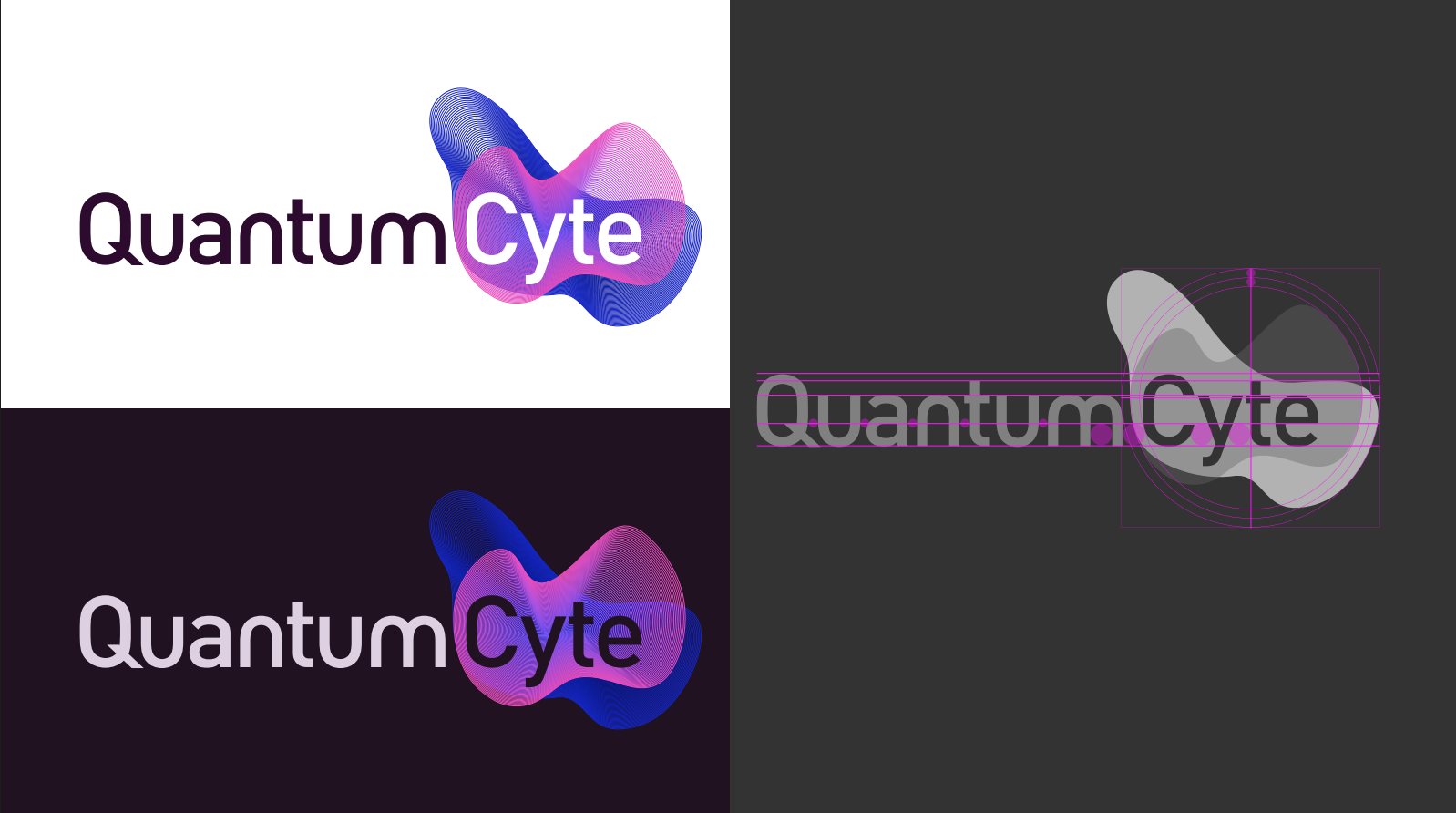 The final QuantumCyte logo: Quantum in dark purple and Cyte in white over a blue-to-pink gradient cell mark, shown on white, on deep purple, and as a grey monochrome version.